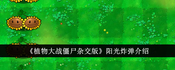 《植物大战僵尸杂交版》阳光炸弹介绍