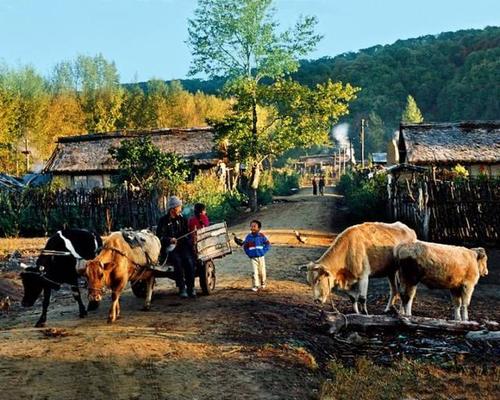 张同学走红后首次接受采访回应，作品爆红前也都走过这些“套路”