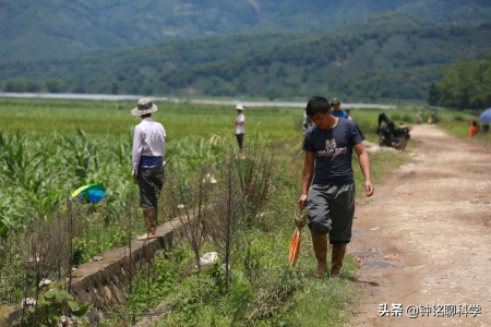 河南火流星坠落地曝光！就在泌阳马谷田镇，陨石真比黄金值钱吗？