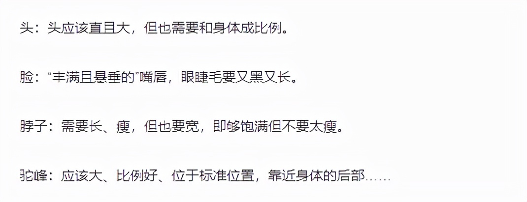 闻所未闻：骆驼也整容？40只骆驼因打肉毒杆菌被踢出选美比赛