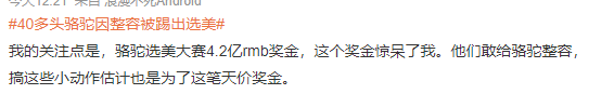 闻所未闻：骆驼也整容？40只骆驼因打肉毒杆菌被踢出选美比赛