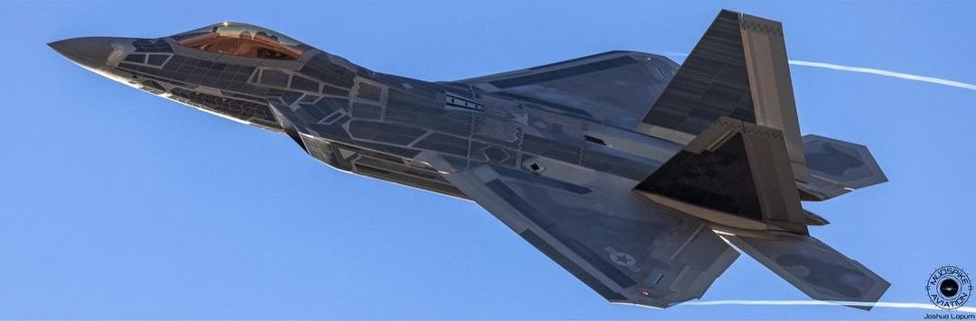 f22战斗机中文版（f-22猛禽战斗机）-