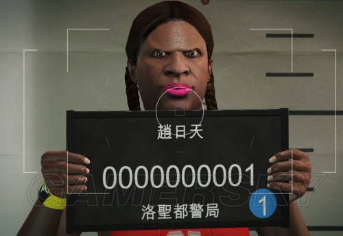 gta5捏脸数据女神（gta5绝世美女捏脸数据）-