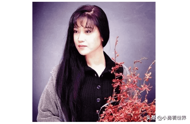 爱江山更爱美人是哪年的？（爱江山更爱美人介绍）-