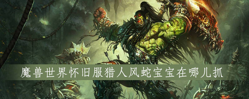 tbc风蛇哪里抓最好(三级俯冲风蛇哪里抓)- tbc风蛇哪里抓最好(三级俯冲风蛇哪里抓)-