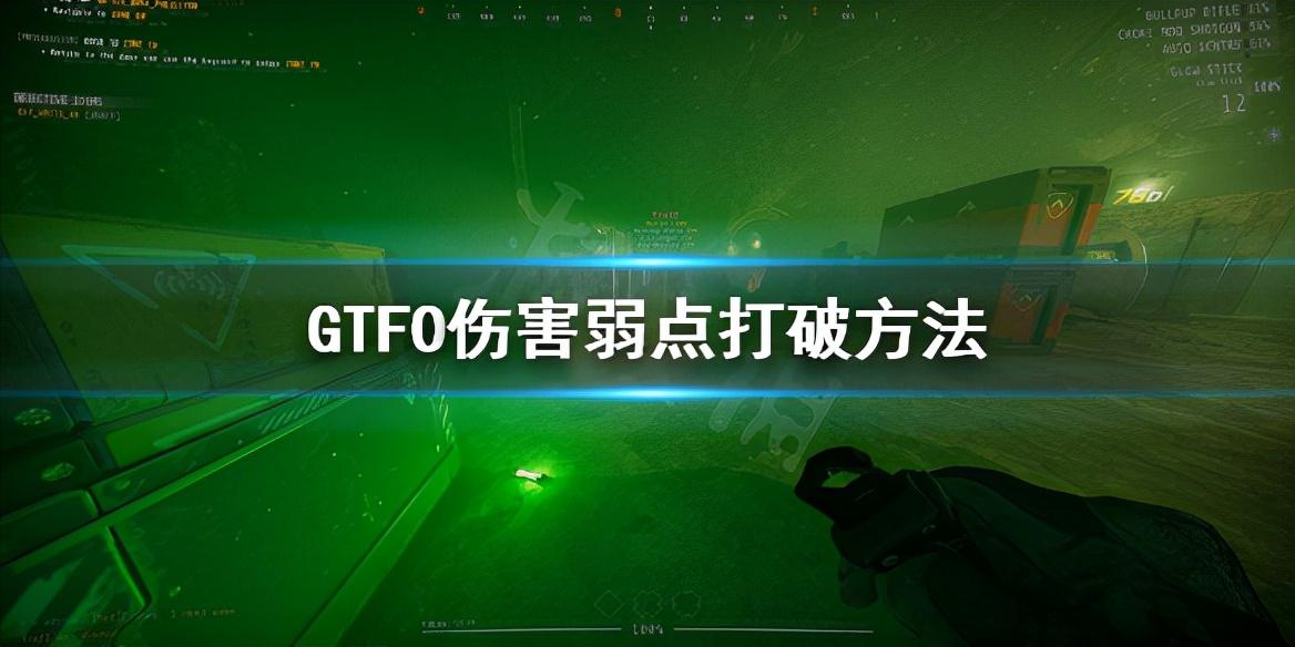 gtfo单人通关技巧（GTFO伤害弱点打破方法）--第1张