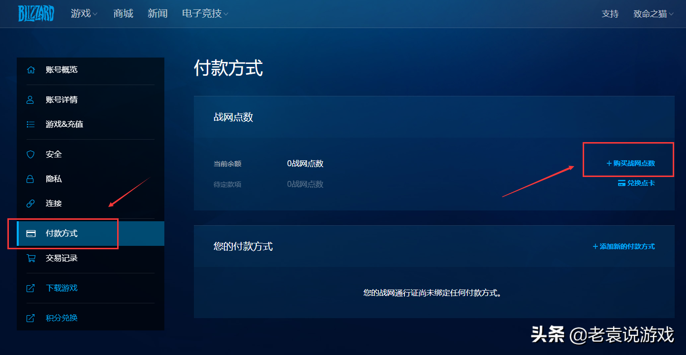 战网国际服怎么充值（国际服充值方法汇总）--第3张