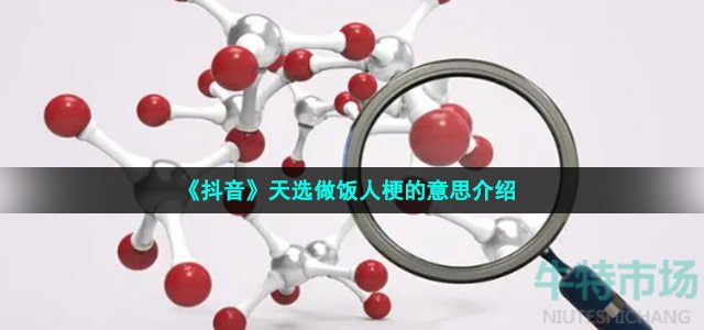 《抖音》天选做饭人梗的意思介绍