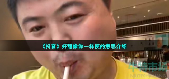 《抖音》好甜像你一样梗的意思介绍