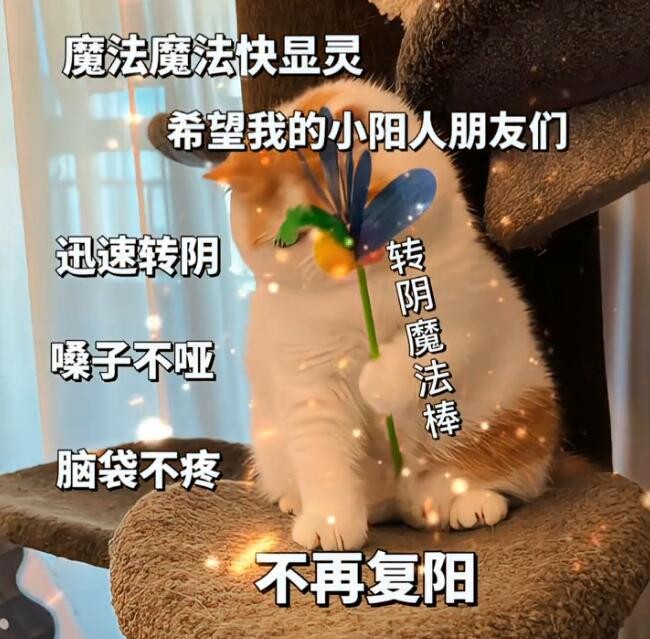 《抖音》转阴小猫梗的意思介绍