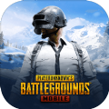 PUBG(国际服)下载安装2.0下载,PUBG(国际服)官方正版下载安装2.0最新版 v2.3.1