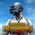 pubg日韩服下载安装下载,pubg日韩服手游下载安装 v2.3.1