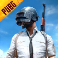 绝地求生pubg（国际服）官方安卓免费版下载,绝地求生pubg（国际服）官方安卓免费版下载2022 v2.4.0