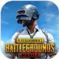 PUBG MOBILE国际服下载体验服下载,正版PUBG MOBILE国际服下载体验服最新安卓免账号 v2.4.0