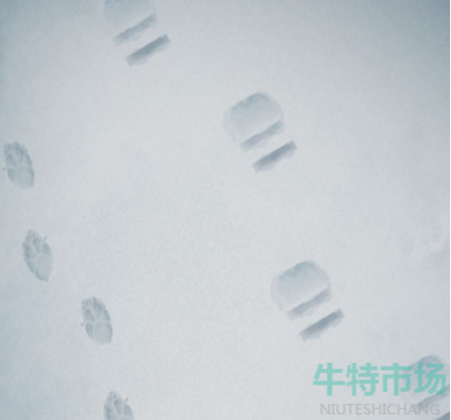 《忘雪手游》第八关封印通关攻略