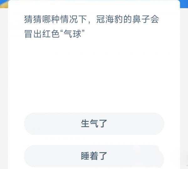 猜猜哪种情况下冠海豹的鼻子会冒出红色气球