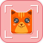 猫脸相机app软件下载-猫脸相机安卓版下载v3.0