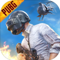 pubg mobile(国际服)体验服下载免费下载,pubg mobile(国际服)体验服下载免费正版2022 v2.4.1