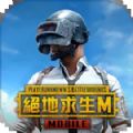 pubgm国际服下载2.5下载,pubgm国际服下载2.5版本最新版 v2.5.0