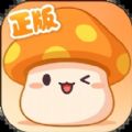 冒险岛手游国际服下载,腾讯冒险岛手游国际服官方版 v0.92.1341