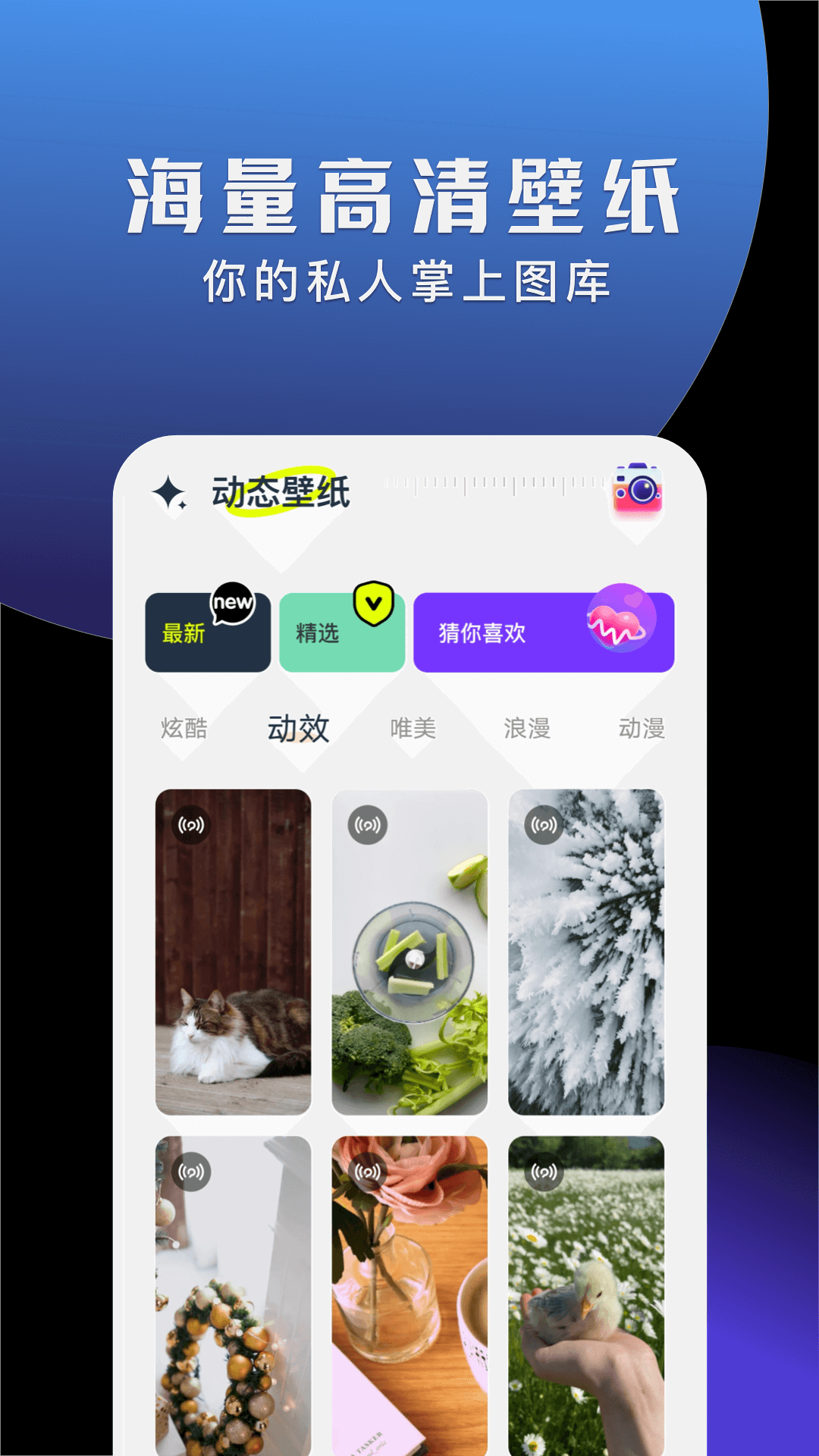 手机动态壁纸大全APP安卓版图片1