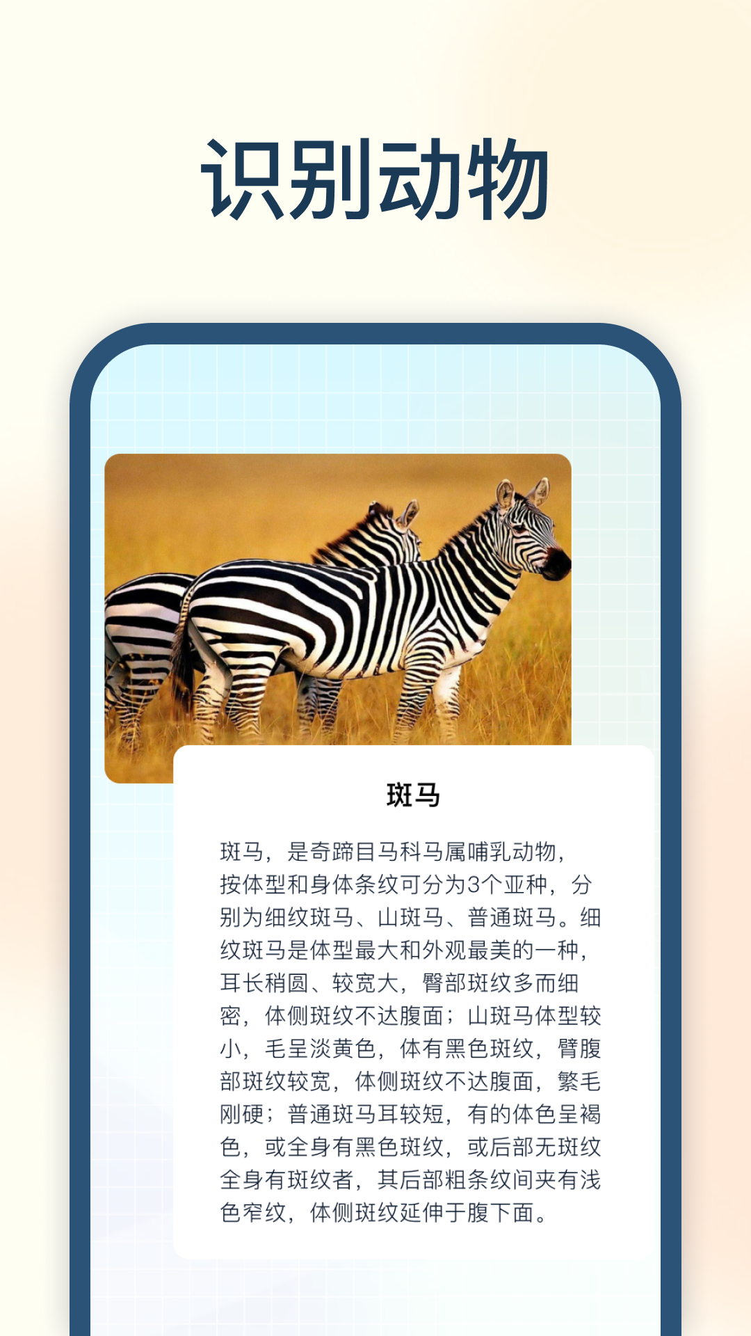 试卷星识别APP最新版图片1